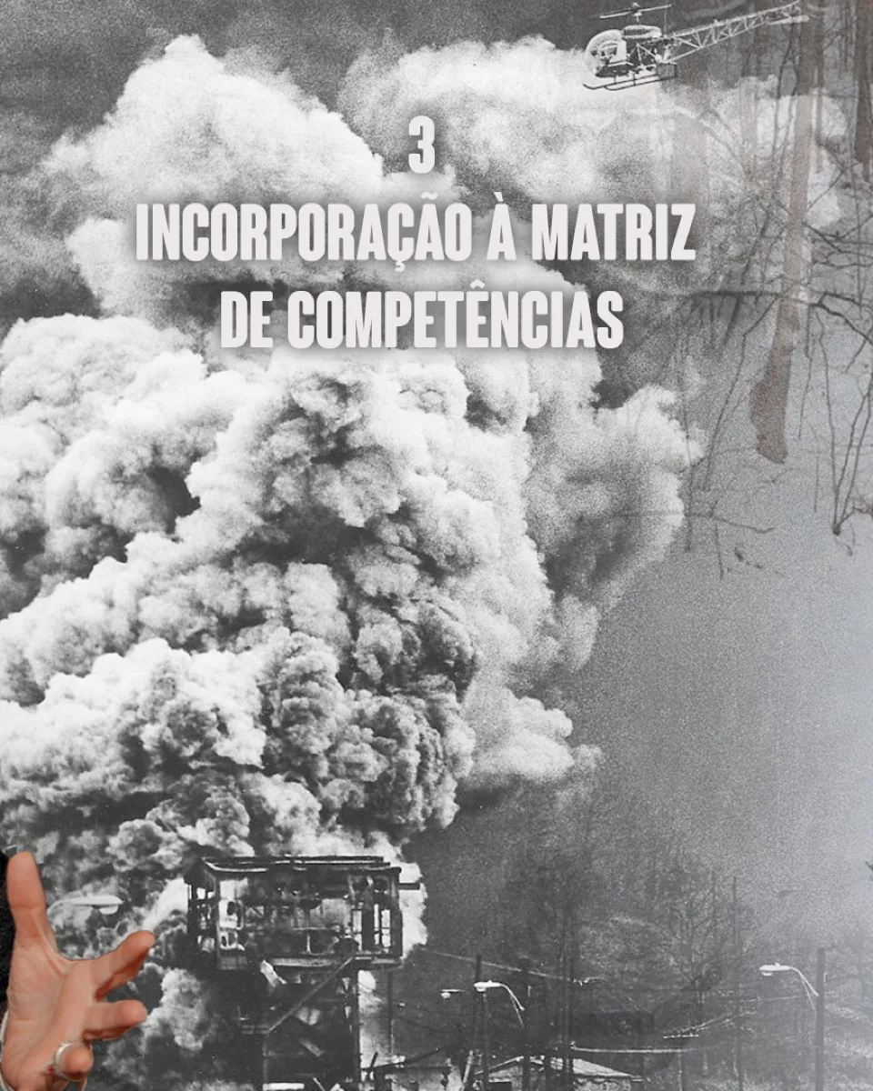 Forma 3 — Incorporação à matriz de competências